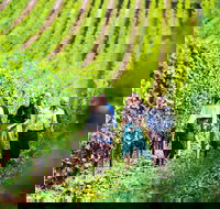 Tasmanian Wine Tour - Accommodation Sunshine Coast