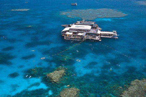Quicksilver Outer Great Barrier Reef Snorkel Cruise From Palm Cove - Accommodation Sunshine Coast 1
