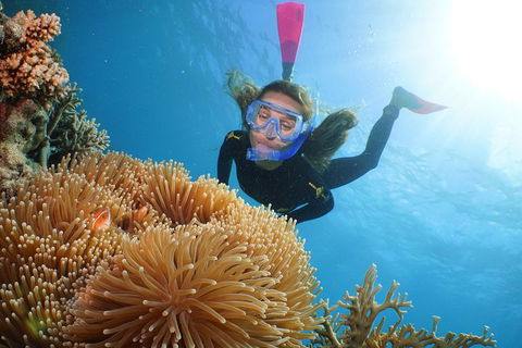 Quicksilver Outer Great Barrier Reef Snorkel Cruise From Palm Cove - Accommodation Sunshine Coast 2