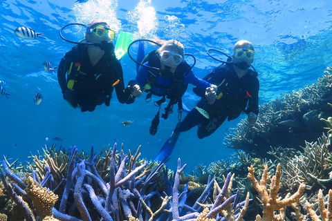 Quicksilver Outer Great Barrier Reef Snorkel Cruise From Palm Cove - Accommodation Sunshine Coast 3