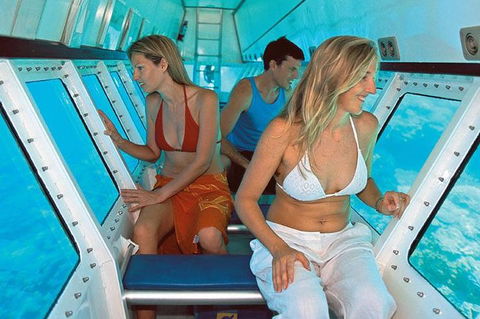 Quicksilver Outer Great Barrier Reef Snorkel Cruise From Palm Cove - Accommodation Sunshine Coast 5