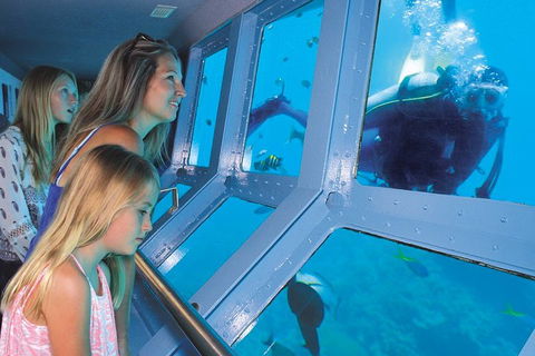 Quicksilver Outer Great Barrier Reef Snorkel Cruise From Port Douglas - Accommodation Sunshine Coast 1