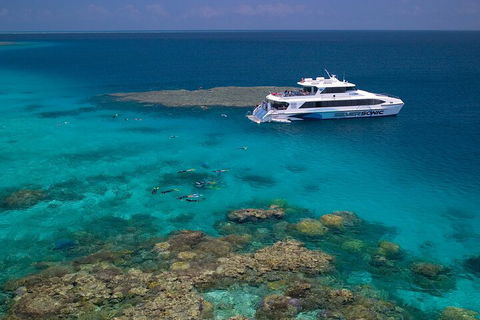 Silversonic Outer Great Barrier Reef Dive And Snorkel Cruise From Port Douglas - Accommodation Sunshine Coast 2