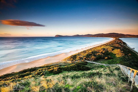 Bruny Island Private Charter Service - Accommodation Sunshine Coast 0