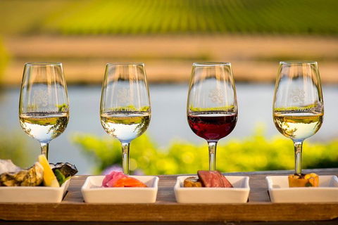 West Tamar Wine Tour - Accommodation Sunshine Coast 1