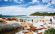 Wineglass Bay Private Charter Service - thumb 3