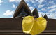 Turandot At The Sydney Opera House - thumb 1