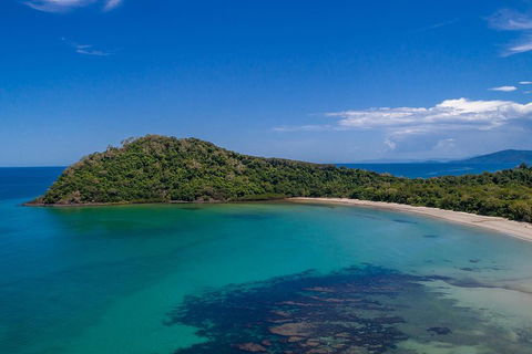 Daintree And Cape Tribulation Tour From Cairns - Accommodation Sunshine Coast 4