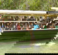Hartley's Crocodile Adventure Half-Day Tour - Accommodation Sunshine Coast
