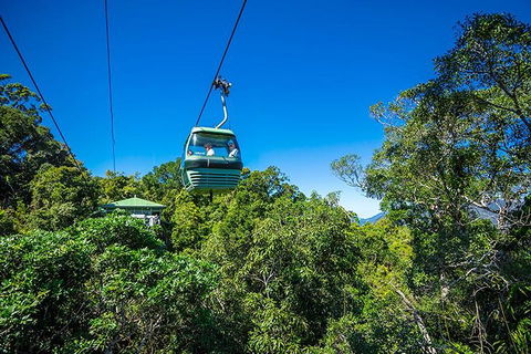 Skyrail Rainforest Cableway Day Trip From Cairns - Accommodation Sunshine Coast 1