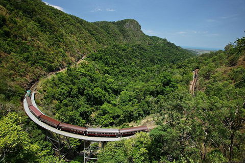 Skyrail Rainforest Cableway Day Trip From Cairns - Accommodation Sunshine Coast 5