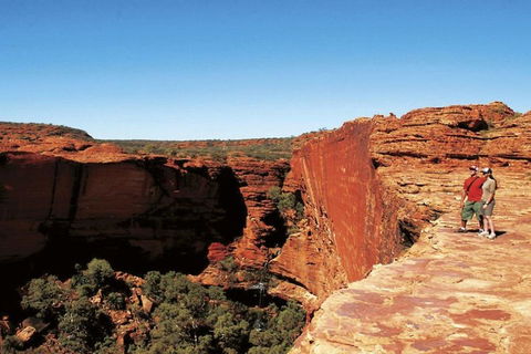 The Amazing Kings Canyon: 4-Hours Walking Tour And Hike - Accommodation Sunshine Coast 1