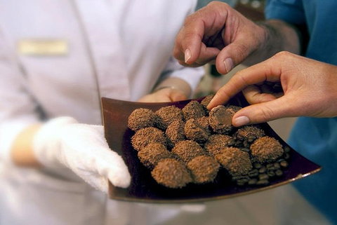 Explore Adelaide City Tour: Haigh's Tasting Chocolate & Adelaide Oval Tour - Accommodation Sunshine Coast 2