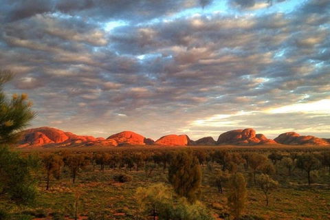 5-Hour Kata Tjuta Sunrise Tour From Ayers Rock With Breakfast - Accommodation Sunshine Coast 1
