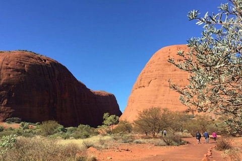 5-Hour Kata Tjuta Sunrise Tour From Ayers Rock With Breakfast - Accommodation Sunshine Coast 4
