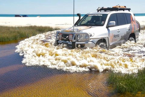 Full-Day Moreton Island 4x4 Sightseeing Tour - Accommodation Sunshine Coast 0