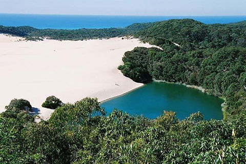 Full-Day Moreton Island 4x4 Sightseeing Tour - Accommodation Sunshine Coast 5