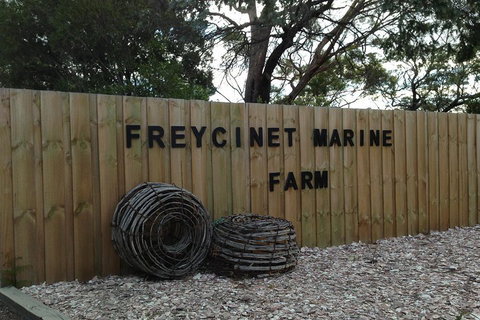 Active Day Tour One-Way From Launceston To Hobart Via Wineglass Bay - Accommodation Sunshine Coast 3