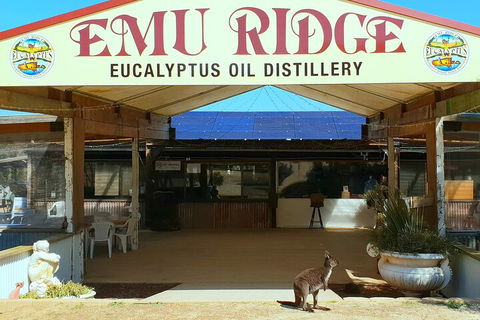 2-Day Kangaroo Island Safari From Adelaide - Accommodation Sunshine Coast 4