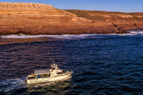 Kalbarri Sunset Coastal Cliff Cruise - Accommodation Sunshine Coast 4