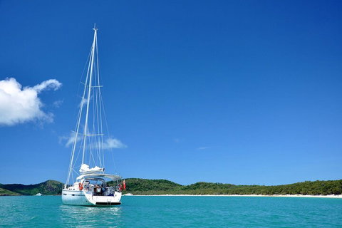 Sailing Curlew Escape On Moreton Bay - Accommodation Sunshine Coast 5