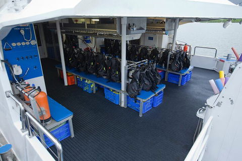 Silverswift Outer Great Barrier Reef Dive And Snorkel Cruise From Cairns - Accommodation Sunshine Coast 0