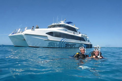 Silverswift Outer Great Barrier Reef Dive And Snorkel Cruise From Cairns - Accommodation Sunshine Coast 4