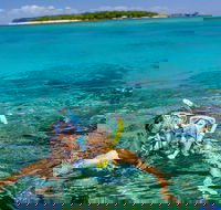Green Island Day Trip Including Seawalker Helmet Dive COMBO - Accommodation Sunshine Coast