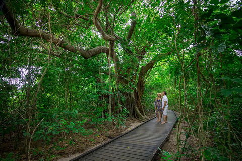 Green Island Day Trip Including Seawalker Helmet Dive COMBO - Accommodation Sunshine Coast 1