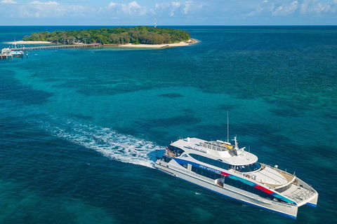 Green Island Day Trip Including Seawalker Helmet Dive COMBO - Accommodation Sunshine Coast 2
