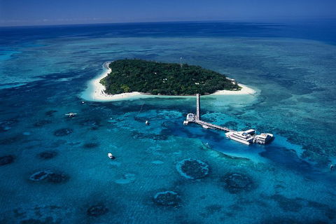 Green Island Day Trip Including Seawalker Helmet Dive COMBO - Accommodation Sunshine Coast 5