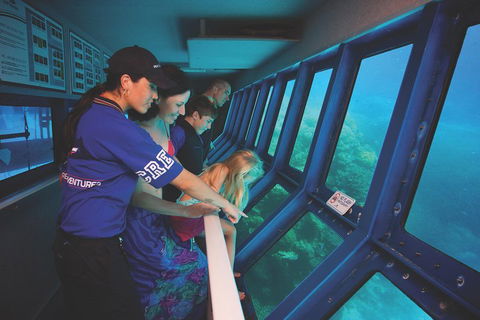 Great Barrier Reef Adventure From Cairns - Accommodation Sunshine Coast 0