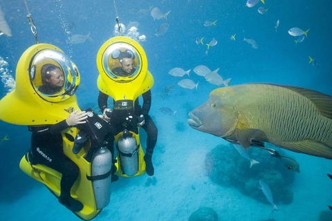 Great Barrier Reef Adventure From Cairns - Accommodation Sunshine Coast 2