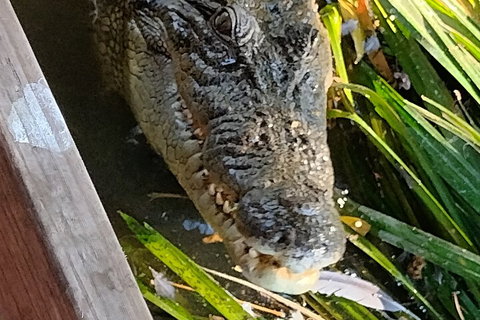 Litchfield Park Adventures And Jumping Crocodile Cruise + Butterfly Farm - Accommodation Sunshine Coast 1