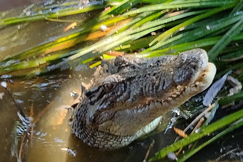 Litchfield Park Adventures And Jumping Crocodile Cruise + Butterfly Farm - Accommodation Sunshine Coast 4