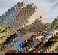 Jumping Crocodile Cruise and Berry Springs Nature Park - Accommodation Sunshine Coast