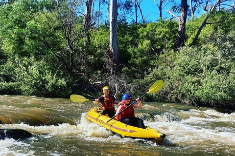 Yarra River Half-Day Rafting Experience - Accommodation Sunshine Coast 2