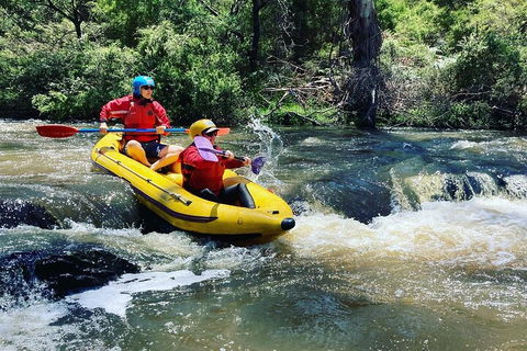 Yarra River Half-Day Rafting Experience - Accommodation Sunshine Coast 4