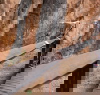 Chillagoe Caves and Outback Day Trip from Cairns - Accommodation Sunshine Coast