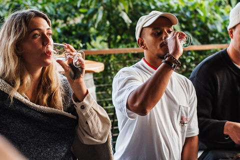 Full-Day Tour To Byron Bay Best Food And Drink Spots - Accommodation Sunshine Coast 1