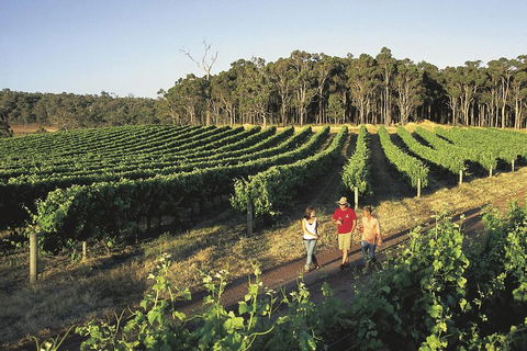 Margaret River, Caves, Wine And Cape Leeuwin Lighthouse Tour From Perth - Accommodation Sunshine Coast 1