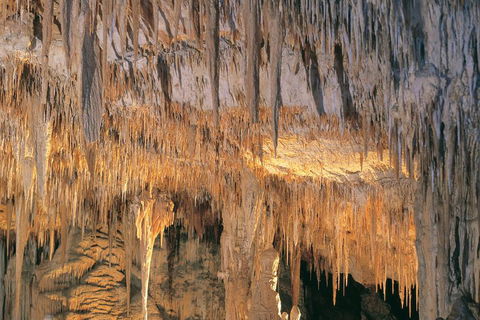 Margaret River, Caves, Wine And Cape Leeuwin Lighthouse Tour From Perth - Accommodation Sunshine Coast 3