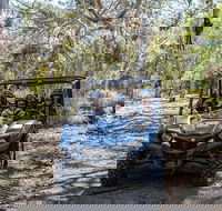 Small-Group Buggy Tour at Little Sahara with Guide - Accommodation Sunshine Coast