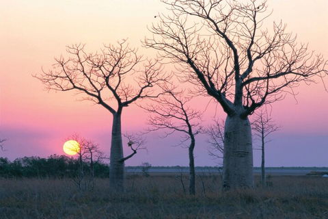 8-Day Outback Experience From Queensland - Accommodation Sunshine Coast 5