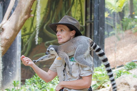 Currumbin Wildlife Sanctuary General Entry Ticket - Accommodation Sunshine Coast 1
