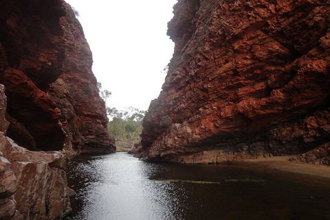 West MacDonnell Ranges Half - Day Tour - Accommodation Sunshine Coast 4