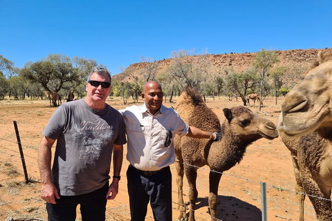 West MacDonnell Ranges Half-Day Small-Group Tour With Camel Ride - Accommodation Sunshine Coast 1