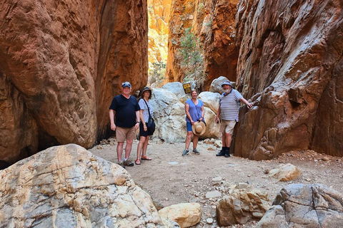 West MacDonnell Ranges Half-Day Small-Group Tour With Camel Ride - Accommodation Sunshine Coast 4
