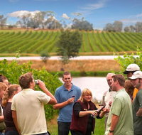 Yarra Valley Wine and Winery Tour from Melbourne - Accommodation Sunshine Coast