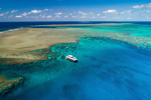 Calypso Outer Great Barrier Reef Cruise From Port Douglas - Accommodation Sunshine Coast 1